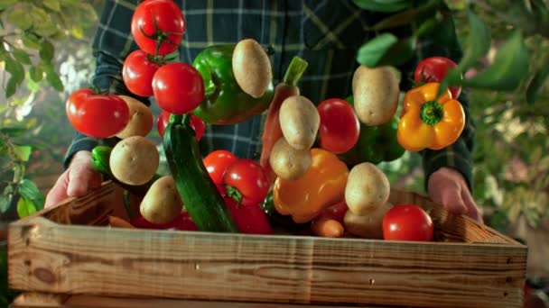 Super Slow Motion Shot Colorful Vegetables Falling Wooden Box Held — Vídeos de Stock