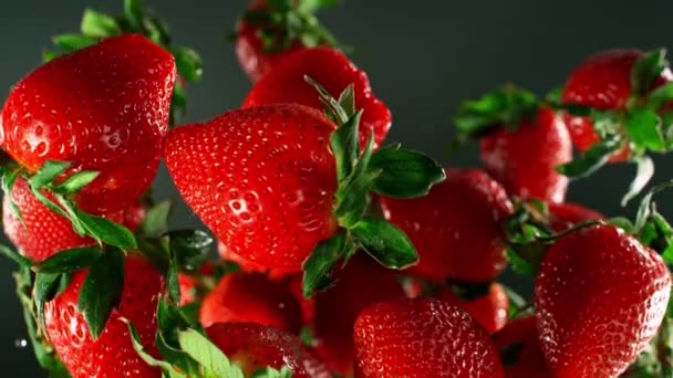 Super Slow Motion Shot Flying Fresh Strawberries Fundo Escuro 1000Fps — Vídeo de Stock