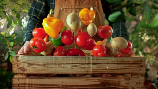 Renkli Sebzelerin Süper Yavaş Çekimi Tahta Kutuya Düşerken Bir Çiftçi — Stok video