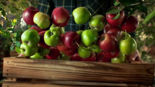 Super Slow Motion Shot Apples Vallen Houten Doos Gehouden Door — Stockvideo