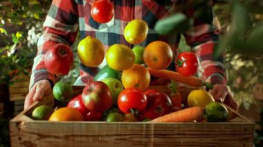 Değişik Renkli Yiyeceklerin Süper Yavaş Çekimi Tahta Kutu 'ya 1000fps hızla düşüyor. Yüksek Hız Sinema Kamerası, 4k Çözünürlük.