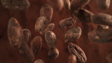Çikolata Fasulyesinin Süper Yavaş Çekimi. Ardından da Kakao Tozu 'na Düşen Kamera. Yüksek Hız Sinema Kamerası, 4K.
