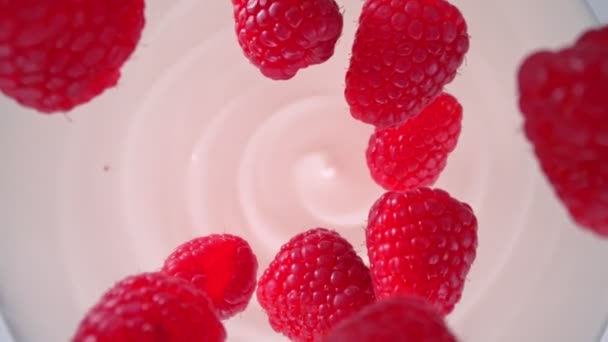 Super Slow Motion Shot Fresh Raspberries Followed Camera Falling Yogurt — ストック動画
