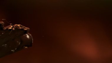 Kahverengi Soyut Arkaplan Üzerine Uçan Çikolata Sıçrayan Süper Yavaş Film Çekimi, 1000 fps. Yüksek Hız Sinema Kamerası, 4k.