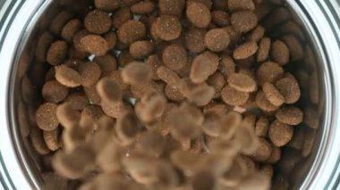 Süper Yavaş Çekim Köpek maması Beyaz Arkaplan 'daki Bowl' a düşüyor. Yüksek Hız Sinema Kamerası, 4k.