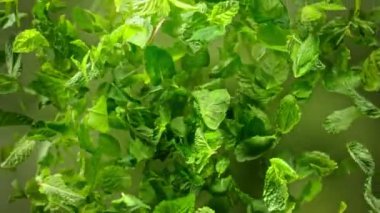 Uçuş ve Dönen Nane Şekerinin Süper Yavaş Çekimi 1000fps hızla Kameraya Gidiyor. Yüksek Hız Sinema Kamerası, 4K.