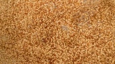 Arpa Taneleri 'nin Süper Yavaş Çekimi 300 metrede kameraya doğru uçuyor. Yüksek Hız Sinema Kamerası, 4K.