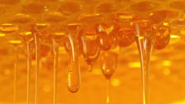 Bal peteğinden damlayan Süper Yavaş Bal Çekimi 300 metre yükseklikte. Yüksek Hız Sinema Kamerası, 4K.