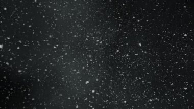 Düşen Kar ve Sis 'in Süper Yavaş Çekimi 1000 fp' de Kara 'da izole edildi.