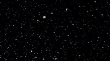 Düşen Gerçek Kar 'ın Süper Yavaş Çekimi Siyah Arkaplanda 1000 fp' de izole edildi.