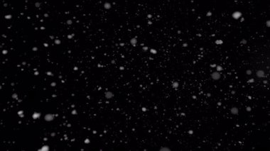 Düşen Gerçek Kar 'ın Süper Yavaş Çekimi Siyah Arkaplanda 1000 fp' de izole edildi.