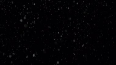 Super Slow Motion Real Rain Drops Kara Arkaplana Düşüyor, 1000fps Overlay Video. Yüksek Hız Sinema Kamerası, 4k.