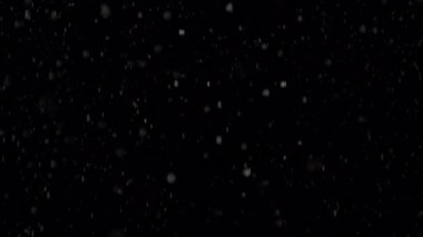 Super Slow Motion Real Rain Drops Kara Arkaplana Düşüyor, 1000fps Overlay Video. Yüksek Hız Sinema Kamerası, 4k.