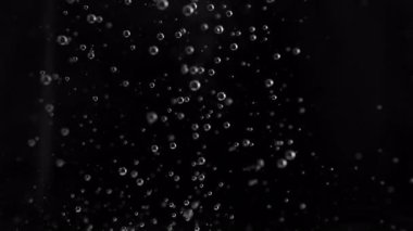 Hava kabarcıklarının Süper Yavaş Çekimi yükseliyor, Kara Arkaplan 'da izole edilmiş. Yüksek Hız Sinema Kamerası, 4K.