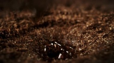 Süper Yavaş Hareket Ayrıntılı Vuruşlar Düşen Düşen ve Toprak Substrat 'a Sıçrayan. Yüksek Hız Sinema Kamerası, 4K.