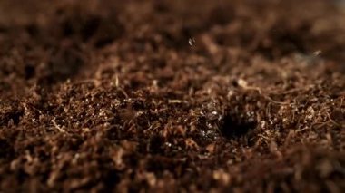 Süper Yavaş Hareket Ayrıntılı Vuruşlar Düşen Düşen ve Toprak Substrat 'a Sıçrayan. Yüksek Hız Sinema Kamerası, 4K.