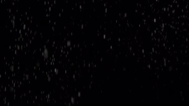 Siyah Arkaplanda Gerçek Yağmur İzole Edildi, Görüntü Üstüste.
