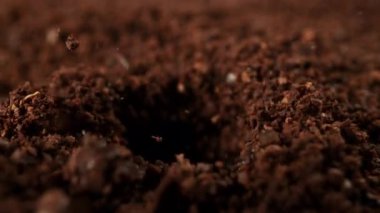 Süper Yavaş Hareket Detay Çekimi. Sıcak suyla birlikte 300 metrede demlenen öğütülmüş kahve. 4K 'da Yüksek Hız Sinema Kamerası ile çekildi..