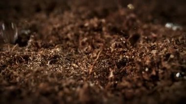 Süper Yavaş Hareket Ayrıntılı Vuruşlar Düşen Düşen ve Toprak Substrat 'a Sıçrayan. Yüksek Hız Sinema Kamerası, 4K.