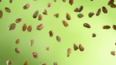 Green Gradient Arkaplan 'da Düşen Fındık Kabuğu' nun Süper Yavaş Çekimi. Yüksek Hız Sinema Kamerası, 4K.