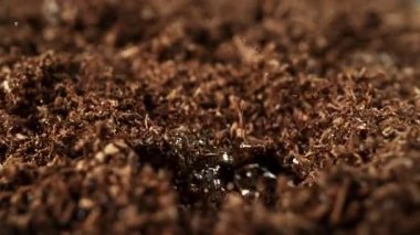 Süper Yavaş Hareket Ayrıntılı Vuruşlar Düşen Düşen ve Toprak Substrat 'a Sıçrayan. Yüksek Hız Sinema Kamerası, 4K.