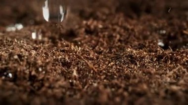 Süper Yavaş Hareket Ayrıntılı Vuruşlar Düşen Düşen ve Toprak Substrat 'a Sıçrayan. Yüksek Hız Sinema Kamerası, 4K.