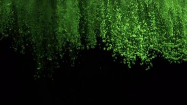 Düşen Kibrit Tozu 'nun Süper Yavaş Çekimi Kara Arkaplan' da izole edildi. Yüksek Hız Sinema Kamerası, 4K.