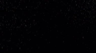 Siyah Arkaplanda Gerçek Yağmur İzole Edildi, Görüntü Üstüste.