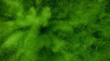 Matcha Powder 'ın Süper Yavaş Çekimi 300 metrede kameraya doğru patladı. Yüksek Hız Sinema Kamerası, 4K.