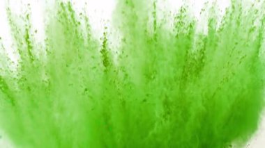 Matcha Powder 'ın Süper Yavaş Çekimi Beyaz Arkaplan' da izole edildi. Yüksek Hız Sinema Kamerası, 4K.