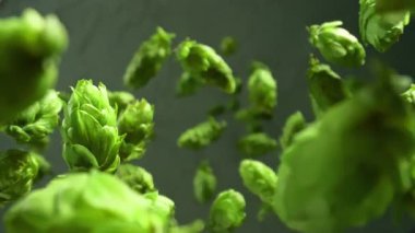 Süper Yavaş Hareket Ayrıntılı Çekim Taze Yeşil Sıçrama Yığını 1000 Fps 'te. Yüksek Hız Sinema Kamerası, 4k.