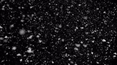Düşen Karların Süper Yavaş Çekimi Siyah Arkaplanda 1000 fp 'de izole edildi.