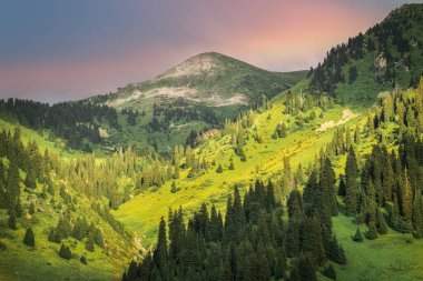 View of Mount Furmanov from Kimasar gorge in the Almaty mountains. clipart