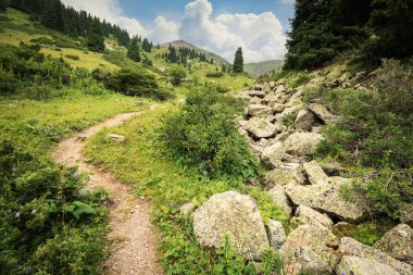 Furmanov Dağı 'na ve Almaty Dağları' ndaki Kimasar vadisi boyunca Panorama Tepesi 'ne yürüyüş yolu..