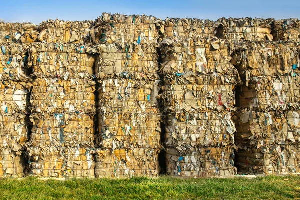 Large stacks waste paper for recycling on the grass outdoors.