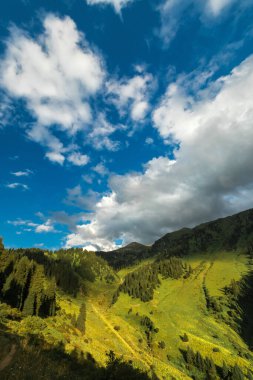 Summer Kimasar gorge with a view of Mount Furmanov. Popular weekend hiking route in Almaty mountains, vertical. clipart