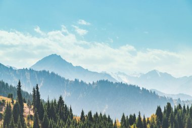 Amazing landscape of summer Almaty mountains. View of the misty slopes of the Tian Shan mountains in Kazakhstan. Travel background.