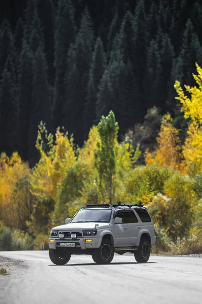 Voiture Tout Terrain Blanche Toyota Sur Forêt Montagne Automne Almaty — Photo