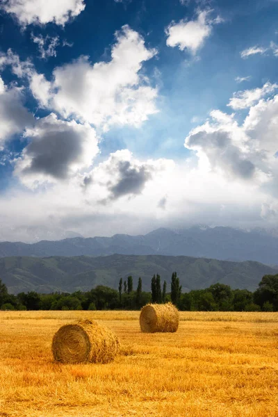 Due Haystack Rotola Campo Agricolo Panoramico Piedi Dell Asia Centrale — Foto Stock