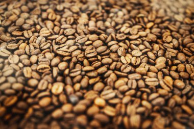 Kahverengi kahve çekirdeklerinin arka planı, seçici yumuşak odak..