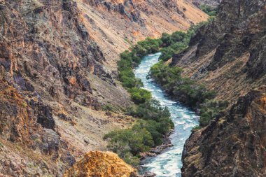 Charyn Nehri, Almaty bölgesindeki Kazakistan 'daki Charyn Kanyonu' ndan akan vadide..