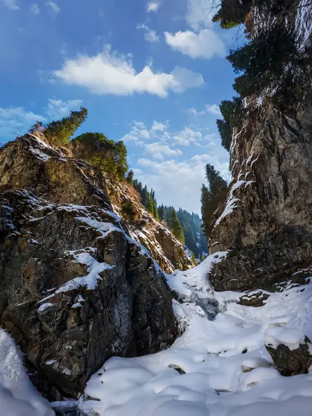 stock image Winter Ayusai waterfall in Bear gorge of Almaty mountains, ile alatau national nature park in Central Asia, picturesque nature of Kazakhstan.