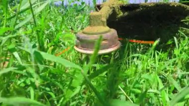 Bir çim biçme bıçağı canlı yeşil bir çimenlikte etkili bir şekilde çalışır. Titiz ve titiz bir şekilde bahçe bakımını gösterir.