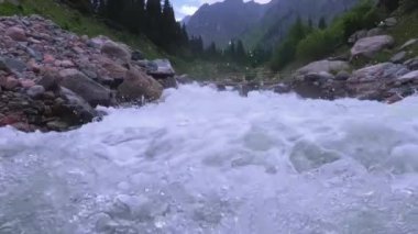 Çalkantılı bir dağ nehri engebeli kayalık arazide enerjik bir şekilde çağlarken yemyeşil zemin yemyeşil ile doluyor.