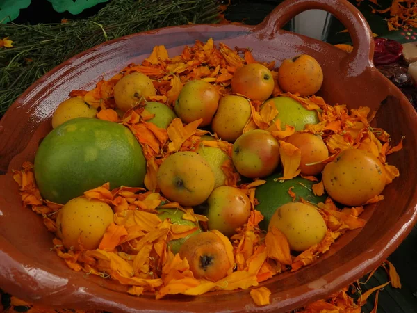 粘土鍋でシロップにメキシコの果物をTejoote — ストック写真
