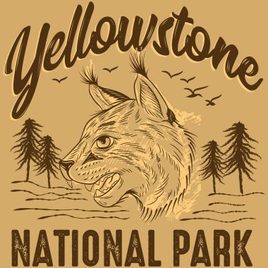 Yellowstone Ulusal Parkı Bobcat 'i, çam ve kartallarla, Kamp tarzı, Tatil.