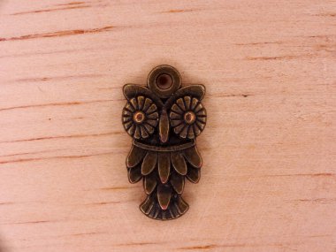 Siyah mücevher kutusunda baykuş şeklinde kolyesi olan altın bir kolye.