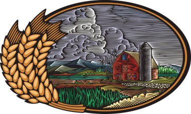 Organik tarım vektör çizim gravür tarzı