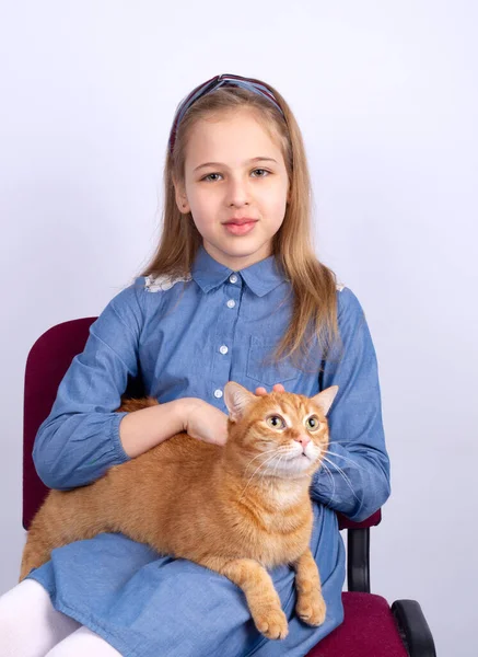 Счастливая Симпатичная Девятилетняя Девочка Рыжей Кошкой Студийный Снимок — стоковое фото