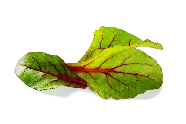 Zutaten Für Mediterrane Küche Salatblätter Aus Mangold — Stockfoto